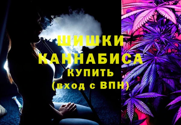 a pvp Новодвинск