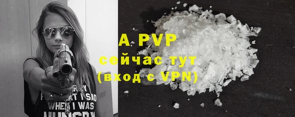 a pvp Новодвинск