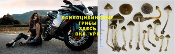ГАЛЛЮЦИНОГЕННЫЕ ГРИБЫ Нягань