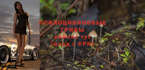 a pvp Новодвинск