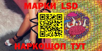 apvp Дубна