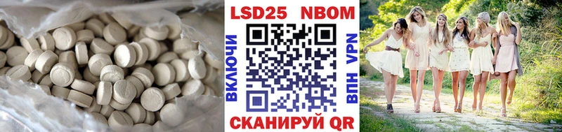 дарнет шоп  omg вход  Лсд 25 экстази кислота  Магадан 