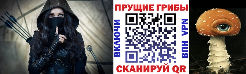 купить наркоту  Магадан  мега ТОР  Галлюциногенные грибы прущие грибы 
