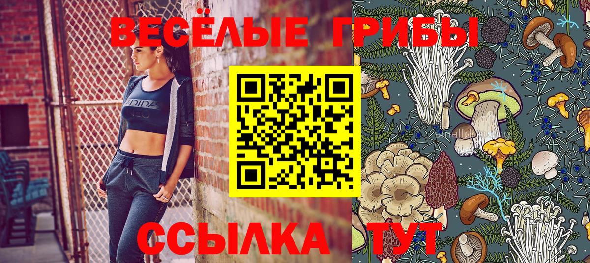 Псилоцибиновые грибы мицелий  Магадан 