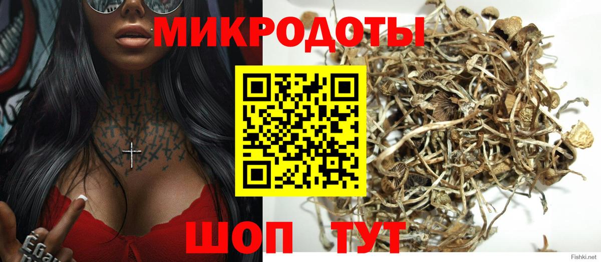 Магадан  Псилоцибиновые грибы прущие грибы  Вход с VPN  Псилоцибиновые грибы Magic Shrooms 